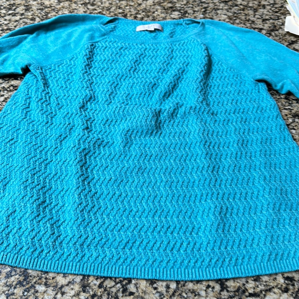Ladies long sleeve loose sweater Loft size Large